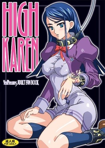 HIGH KAREN DL 画像1