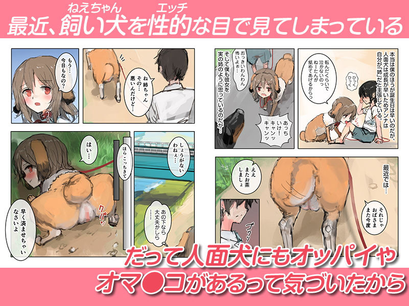 美人面犬の飼い方 画像2