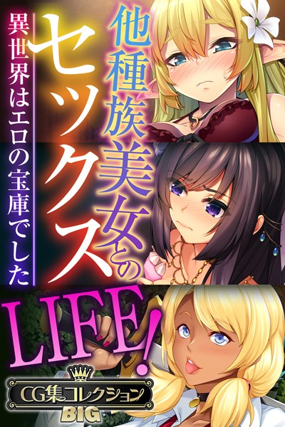 【エロ商業誌】他種族美女とのセックスLIFE！ 〜異世界はエロの宝庫でした〜【CG集コレクションBIG】 大人のSEXY絵本